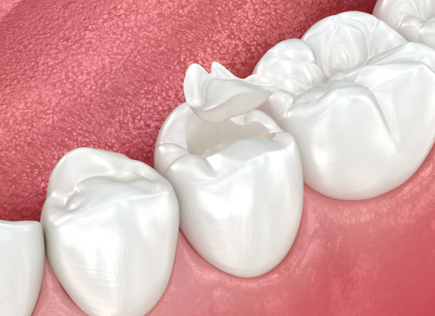 Best Cosmetic Dentistry  in Orange Park, FL